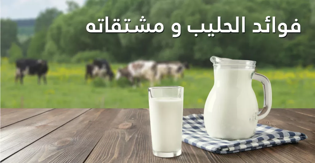 فوائد الحليب و مشتقاته